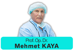 Prof. Dr. Mehmet KAYA